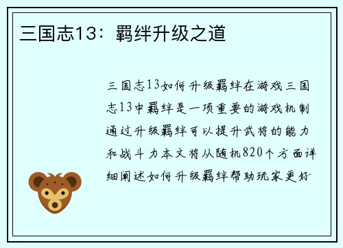 三国志13:羁绊升级之道