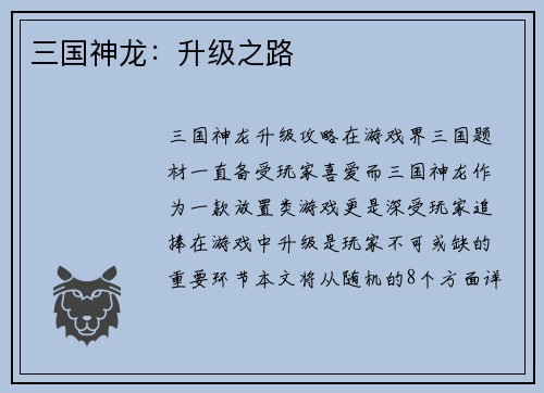 三国神龙:升级之路